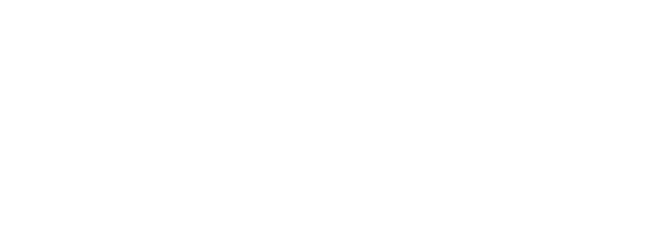S'LINK